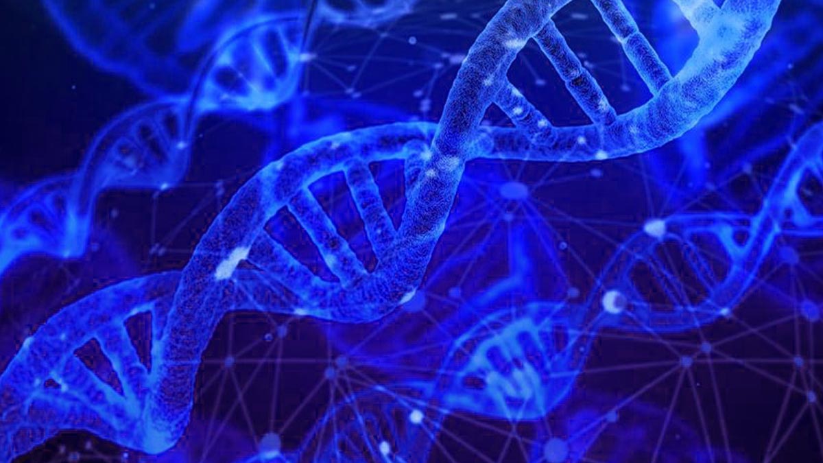 Slotbaba Bilimsel Araştırma Sonuçları Görseli