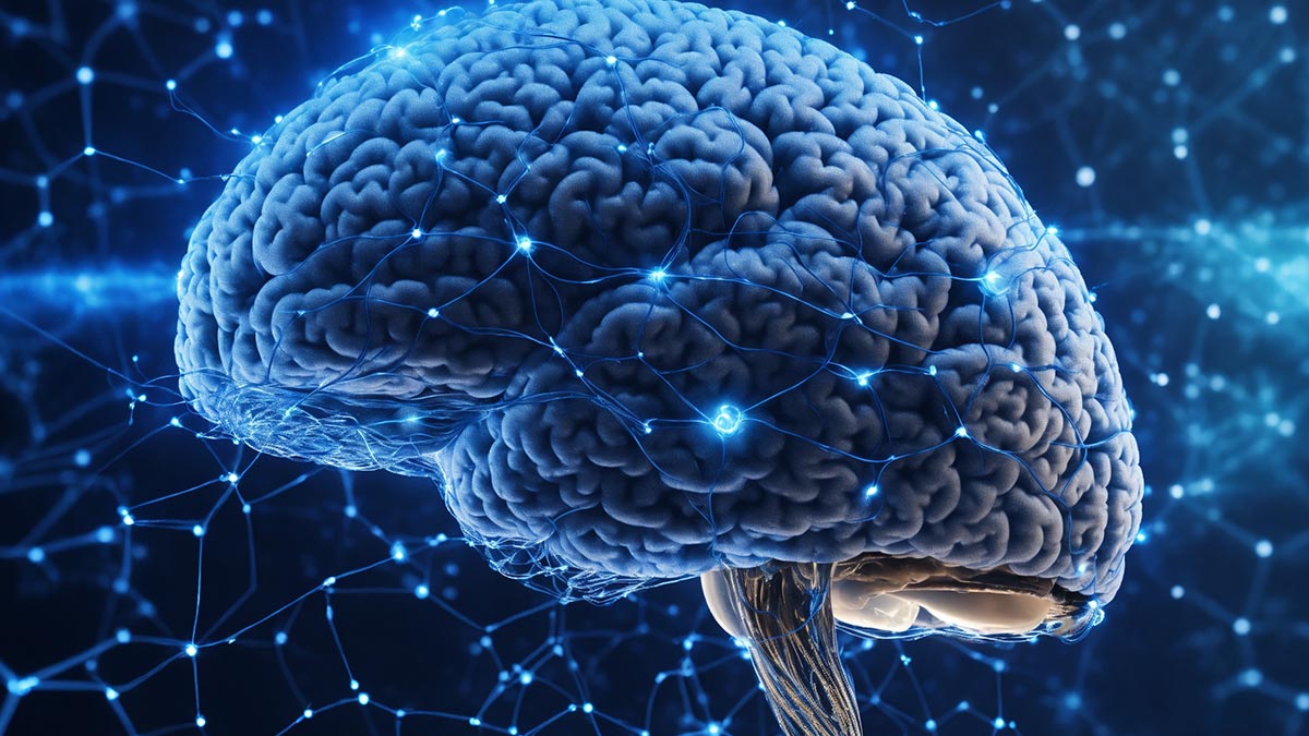 Slotbaba Haber Görseli